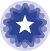 European Blockchain  Association